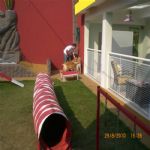 Creche (day Care)