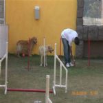 Creche (day Care)