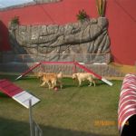 Creche (day Care)