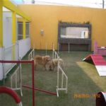 Creche (day Care)