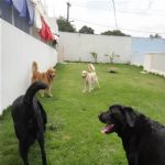Creche (day Care)