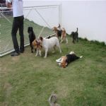 Creche (day Care)