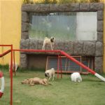 Creche (day Care)