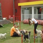 Creche (day Care)