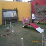 Creche (day Care)