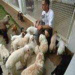 Creche (day Care)