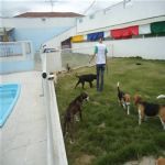 Creche (day Care)