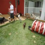 Creche (day Care)