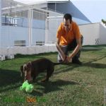Creche (day Care)