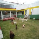 Creche (day Care)