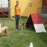 Creche (day Care)