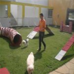 Creche (day Care)