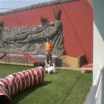 Creche (day Care)