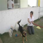 Creche (day Care)