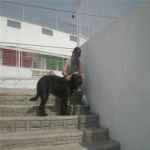 Creche (day Care)