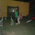 Creche (day Care)