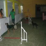 Creche (day Care)