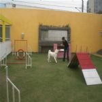 Creche (day Care)