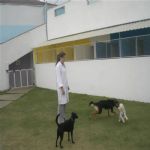 Creche (day Care)