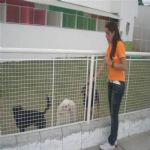 Creche (day Care)
