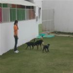Creche (day Care)