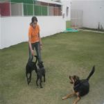 Creche (day Care)