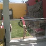 Creche (day Care)