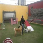 Creche (day Care)