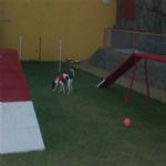 Creche (day Care)