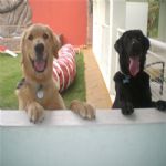 Creche (day Care)