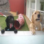Creche (day Care)