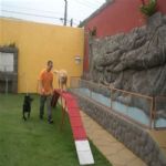 Creche (day Care)