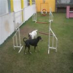 Creche (day Care)