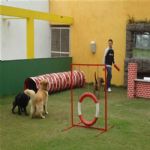 Creche (day Care)