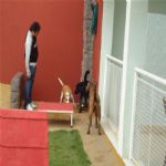 Creche (day Care)