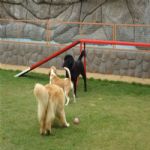 Creche (day Care)