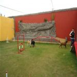 Creche (day Care)
