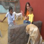 Creche (day Care)