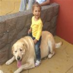 Creche (day Care)
