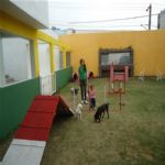 Creche (day Care)