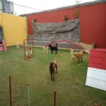 Creche (day Care)