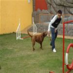 Creche (day Care)