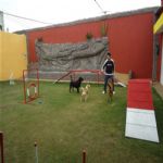 Creche (day Care)