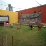 Creche (day Care)