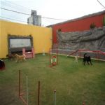 Creche (day Care)