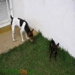 Creche (day Care)
