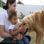 Creche (day Care)